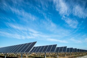 Découvrer l’agrivoltaïsme dans la Marne