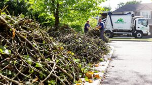 enlevement dechets verts