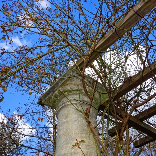 Faire_de_l_ombre_sur_une_terrasse_
