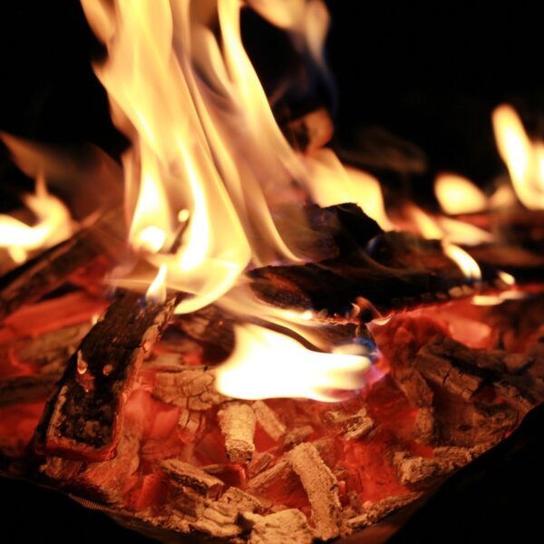 Quel_bois_utiliser_dans_son_brasero_d_extérieur_?