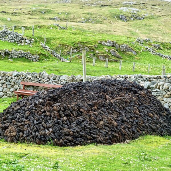 5_avantages_de_l_utilisation_de_la_tourbe_dans_votre_maison