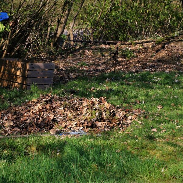 Trouver_la_débroussailleuse_idéale_pour_entretenir_votre_jardin