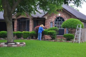 Comment aménager son jardin ?