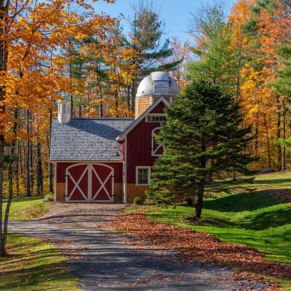 L_art_de_planter_des_arbres_:_créer_un_jardin_sécurisé_et_esthétique