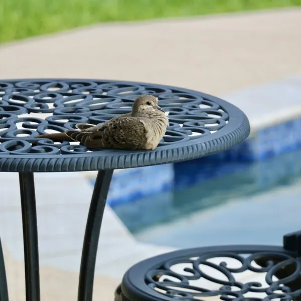 La_plomberie_de_votre_piscine_:_comment_optimiser_votre_espace_extérieur_?