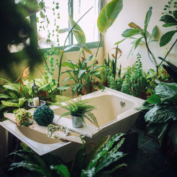 Innovation_jardin_:_ajoutez_une_baignoire_à_votre_espace_vert_pour_un_confort_optimal_