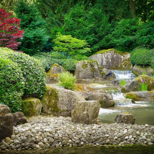 Transformez_votre_jardin_:_guide_étape_par_étape_pour_enlever_le_gazon_et_ajouter_du_gravier