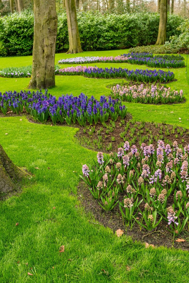 Colorful garden landscape and grassy lawn