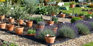 jardin méditerranéen