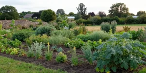 potager permaculture